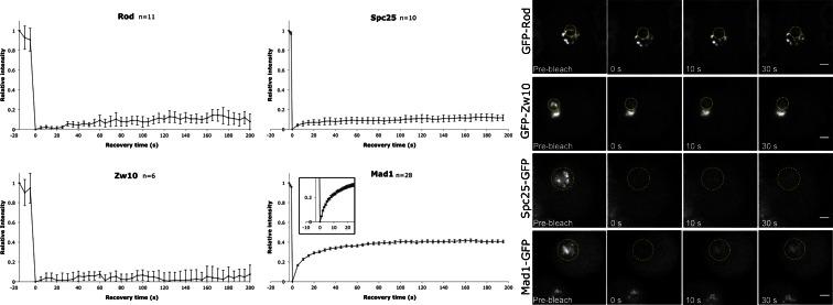 https://cdn.ncbi.nlm.nih.gov/pmc/blobs/eba5/4469085/bdb30a02cdb8/10577_2015_9472_Fig6_HTML.jpg