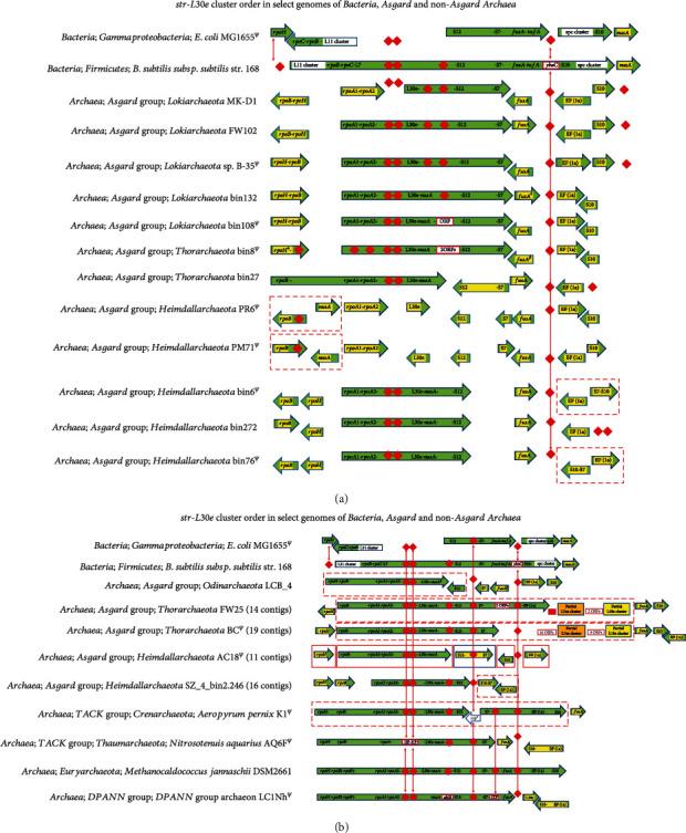 https://cdn.ncbi.nlm.nih.gov/pmc/blobs/eba6/10833476/5d7788bd23f5/ARCHAEA2023-5512414.002.jpg