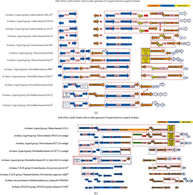 https://cdn.ncbi.nlm.nih.gov/pmc/blobs/eba6/10833476/5e775727032b/ARCHAEA2023-5512414.004.jpg