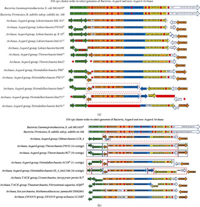 https://cdn.ncbi.nlm.nih.gov/pmc/blobs/eba6/10833476/ef8c0820d0e5/ARCHAEA2023-5512414.001.jpg
