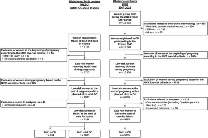 https://cdn.ncbi.nlm.nih.gov/pmc/blobs/eba9/11609991/a80e1cd06ec0/AOGS-103-2465-g001.jpg