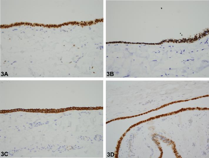 https://cdn.ncbi.nlm.nih.gov/pmc/blobs/eba9/6403112/6c6fcb5c2ae5/gr3.jpg
