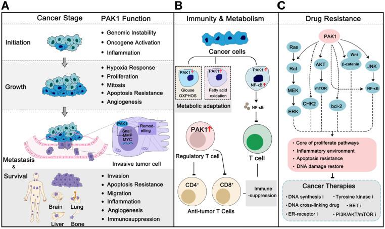https://cdn.ncbi.nlm.nih.gov/pmc/blobs/eba9/7449905/61d07a476137/thnov10p9741g002.jpg