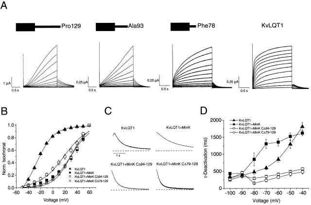 https://cdn.ncbi.nlm.nih.gov/pmc/blobs/ebaa/2233688/53531019f5c5/JGP8227.f4.jpg