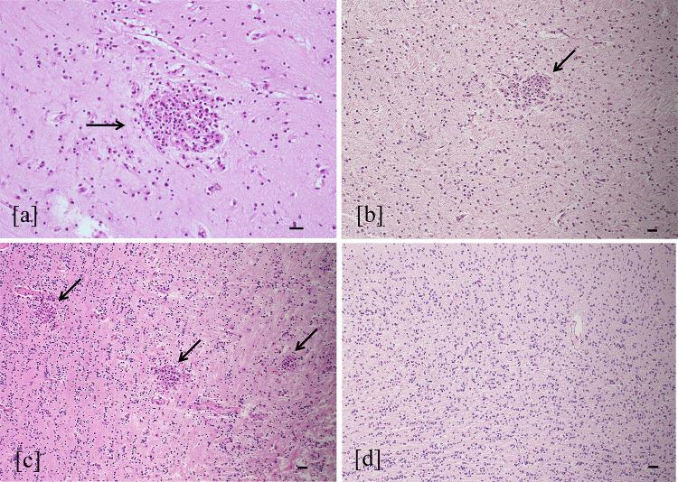 https://cdn.ncbi.nlm.nih.gov/pmc/blobs/ebab/11414437/cf579ef9cecf/10571_2022_1258_Fig2_HTML.jpg