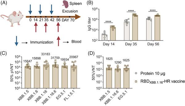 https://cdn.ncbi.nlm.nih.gov/pmc/blobs/ebad/11329747/b2786669c0a2/MCO2-5-e687-g002.jpg