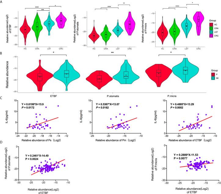 https://cdn.ncbi.nlm.nih.gov/pmc/blobs/ebaf/8144651/bb8962fea6b1/fonc-11-661048-g004.jpg
