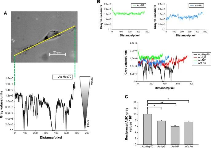 https://cdn.ncbi.nlm.nih.gov/pmc/blobs/ebb1/4572731/0196df395c58/ijn-10-5687Fig6.jpg