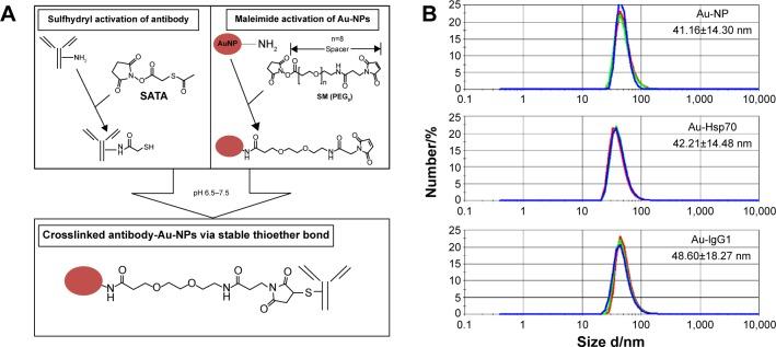 https://cdn.ncbi.nlm.nih.gov/pmc/blobs/ebb1/4572731/b642835c4724/ijn-10-5687Fig1.jpg