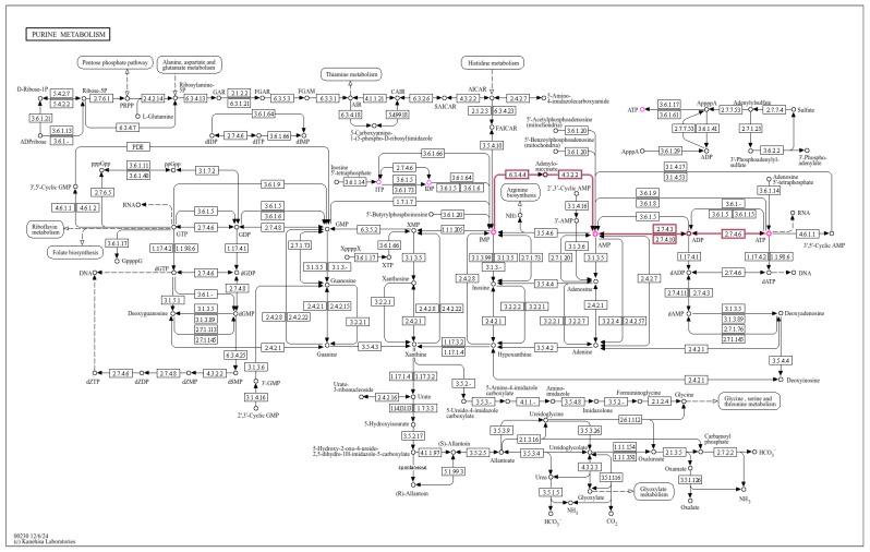 https://cdn.ncbi.nlm.nih.gov/pmc/blobs/ebb2/12029474/ed43001ccaef/metabolites-15-00241-g008.jpg