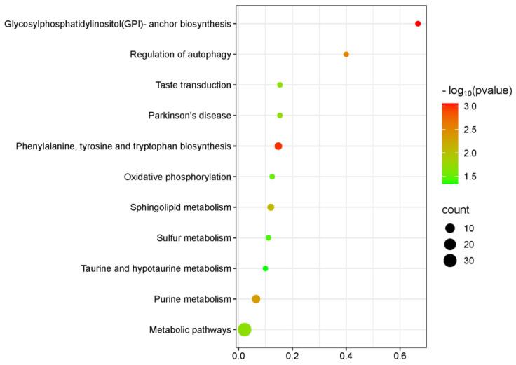 https://cdn.ncbi.nlm.nih.gov/pmc/blobs/ebb2/12029474/fb6cea259a44/metabolites-15-00241-g006.jpg