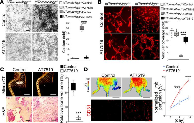 https://cdn.ncbi.nlm.nih.gov/pmc/blobs/ebb3/10972591/84129a7cdce0/jciinsight-9-176065-g084.jpg