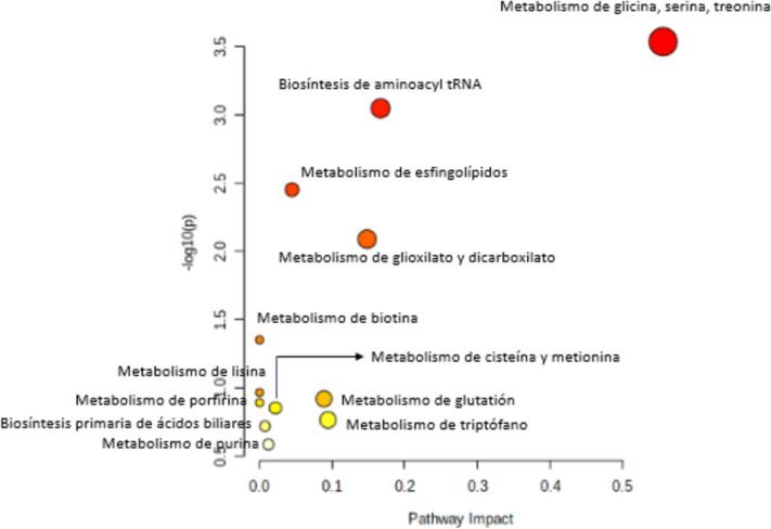 https://cdn.ncbi.nlm.nih.gov/pmc/blobs/ebb8/11688254/01a4166652c7/432_2024_6058_Fig2_HTML.jpg