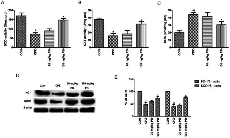 https://cdn.ncbi.nlm.nih.gov/pmc/blobs/ebb9/9081829/864d9d91e2a4/c8ra03854f-f6.jpg