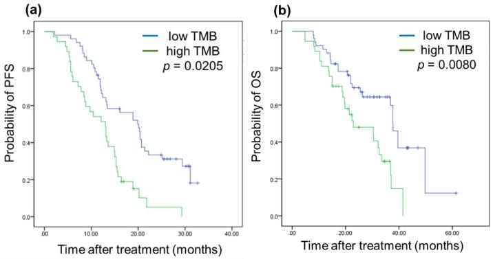 https://cdn.ncbi.nlm.nih.gov/pmc/blobs/ebbb/9495802/9796d965d3c7/biomedicines-10-02109-g002.jpg