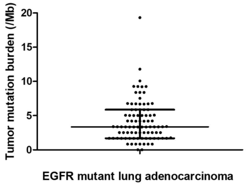 https://cdn.ncbi.nlm.nih.gov/pmc/blobs/ebbb/9495802/ae8494c0acfe/biomedicines-10-02109-g001.jpg