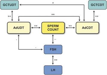 https://cdn.ncbi.nlm.nih.gov/pmc/blobs/ebbc/5686796/489cc8fd572f/12610_2017_65_Fig12_HTML.jpg