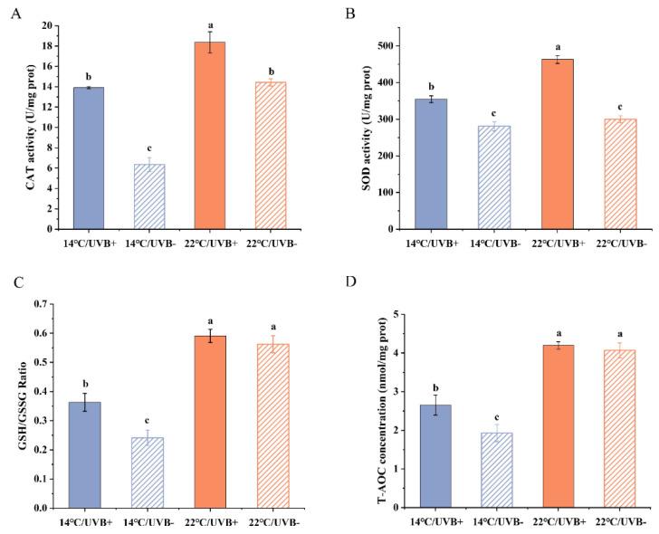 https://cdn.ncbi.nlm.nih.gov/pmc/blobs/ebbc/9220193/f4e8768a93c1/biology-11-00838-g004.jpg