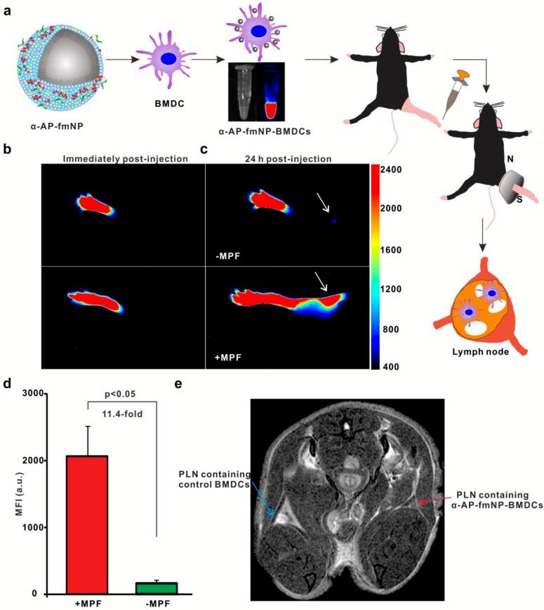 https://cdn.ncbi.nlm.nih.gov/pmc/blobs/ebbd/5039339/751e948f014d/thnov06p2000g003.jpg