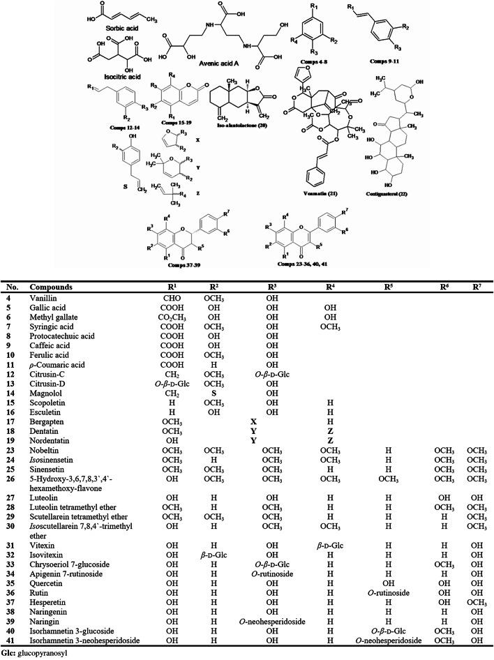 https://cdn.ncbi.nlm.nih.gov/pmc/blobs/ebbf/11698829/8f5d56601547/41598_2024_82787_Fig1_HTML.jpg