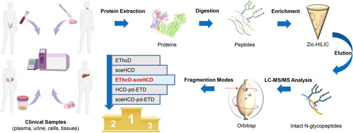 https://cdn.ncbi.nlm.nih.gov/pmc/blobs/ebbf/8907888/57c3eb253dd9/fchem-10-839470-g001.jpg