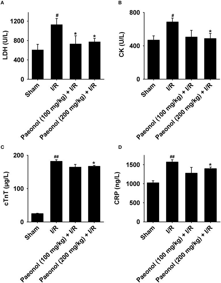 https://cdn.ncbi.nlm.nih.gov/pmc/blobs/ebc7/4954854/2fd538e8053a/fphys-07-00298-g0005.jpg
