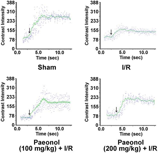 https://cdn.ncbi.nlm.nih.gov/pmc/blobs/ebc7/4954854/e11606f7e57c/fphys-07-00298-g0003.jpg