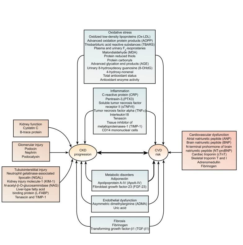 https://cdn.ncbi.nlm.nih.gov/pmc/blobs/ebc7/6367692/7af372ee1dbe/CCR-15-55_F1.jpg