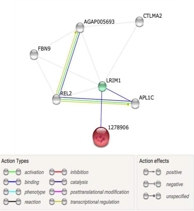 https://cdn.ncbi.nlm.nih.gov/pmc/blobs/ebc9/6019584/b910886a0300/IJPA-13-79-g001.jpg