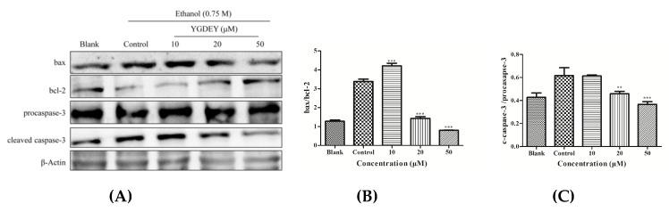 https://cdn.ncbi.nlm.nih.gov/pmc/blobs/ebcf/6412572/c2619aa68893/nutrients-11-00392-g004.jpg