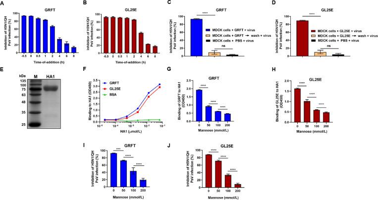 https://cdn.ncbi.nlm.nih.gov/pmc/blobs/ebd0/11077956/8ab658dc6f4c/mbio.00741-24.f003.jpg