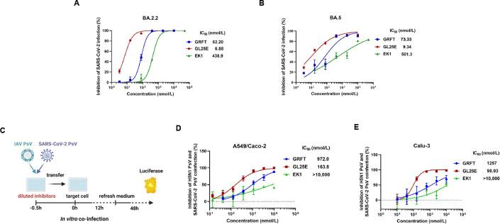https://cdn.ncbi.nlm.nih.gov/pmc/blobs/ebd0/11077956/cf70df8c492f/mbio.00741-24.f004.jpg