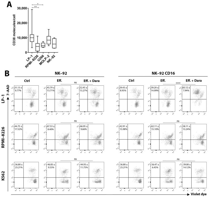 https://cdn.ncbi.nlm.nih.gov/pmc/blobs/ebd0/8234557/95ecc415bb78/cancers-13-03072-g001.jpg