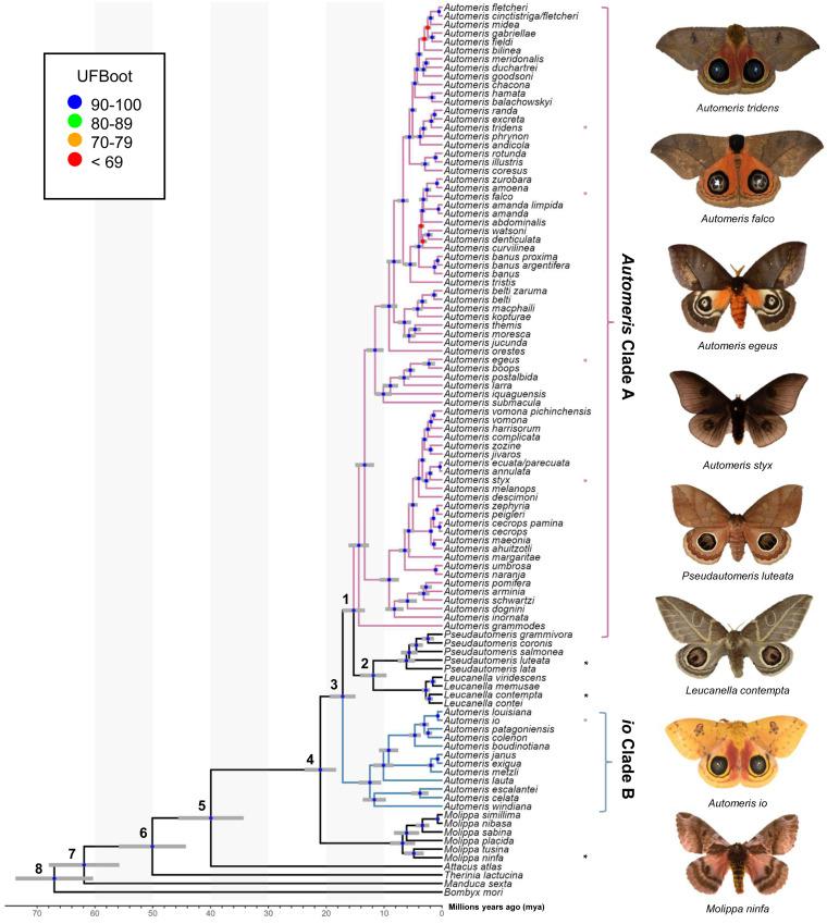 https://cdn.ncbi.nlm.nih.gov/pmc/blobs/ebd2/11144400/0dfbba4717b1/peerj-12-17365-g001.jpg