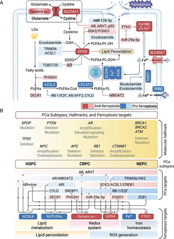 https://cdn.ncbi.nlm.nih.gov/pmc/blobs/ebd4/12399603/e7f8b4ddd93e/MCO2-6-e70357-g002.jpg