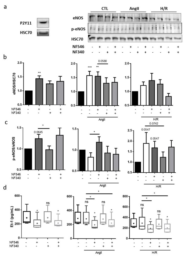 https://cdn.ncbi.nlm.nih.gov/pmc/blobs/ebd5/7829863/2b5861295324/ijms-22-00855-g003.jpg