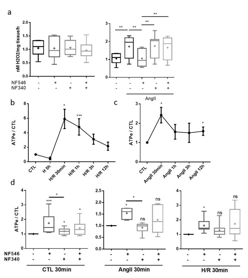 https://cdn.ncbi.nlm.nih.gov/pmc/blobs/ebd5/7829863/dc606ebdaeea/ijms-22-00855-g004.jpg