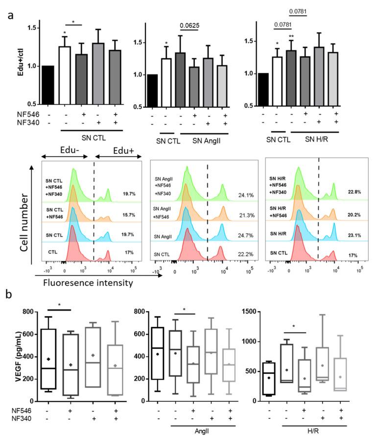 https://cdn.ncbi.nlm.nih.gov/pmc/blobs/ebd5/7829863/fd32a13a47d6/ijms-22-00855-g006.jpg