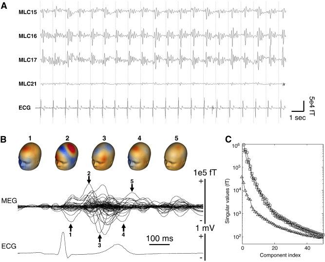 https://cdn.ncbi.nlm.nih.gov/pmc/blobs/ebd8/3221048/31c6f24cb242/gr1.jpg