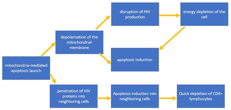 https://cdn.ncbi.nlm.nih.gov/pmc/blobs/ebd9/10093108/056a52f14a5d/cells-12-01072-g003.jpg