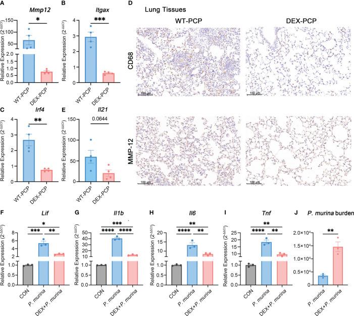https://cdn.ncbi.nlm.nih.gov/pmc/blobs/ebd9/10289015/32c07b006993/fimmu-14-1179094-g007.jpg
