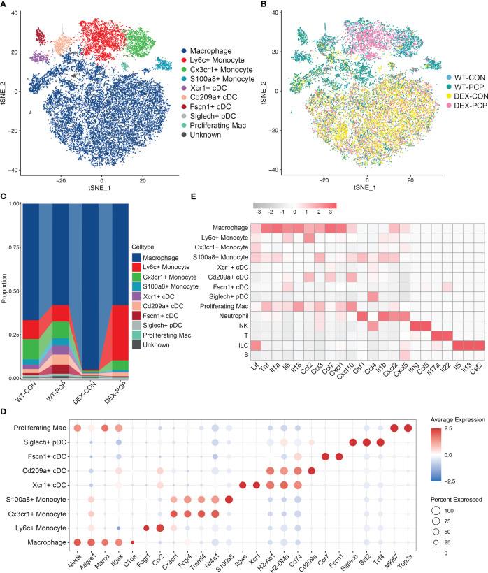 https://cdn.ncbi.nlm.nih.gov/pmc/blobs/ebd9/10289015/7e5ad90d58a7/fimmu-14-1179094-g004.jpg
