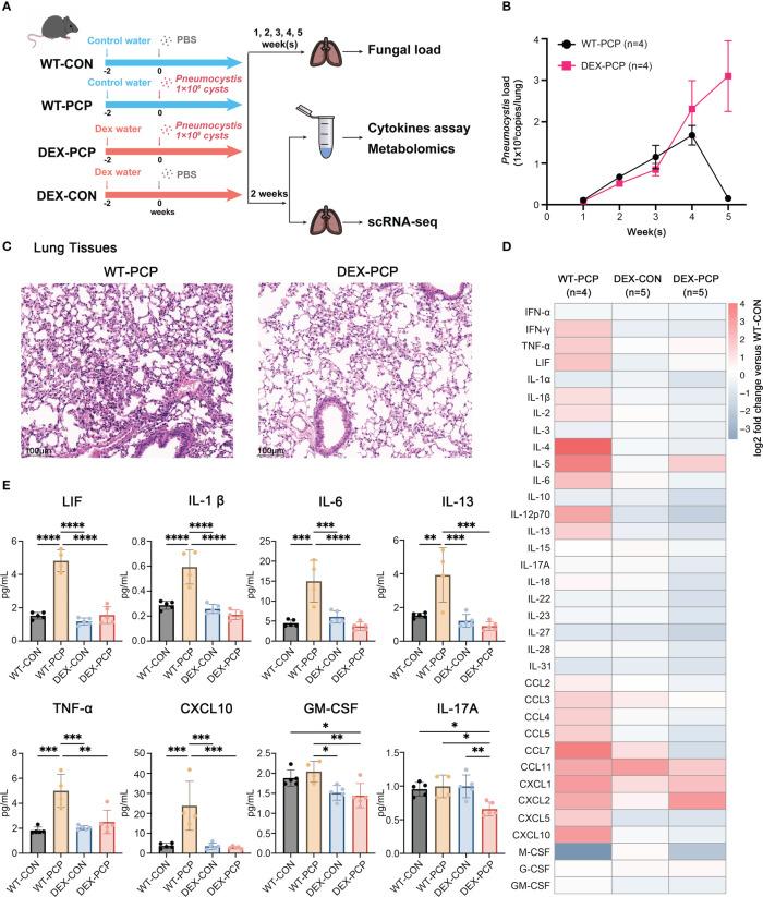 https://cdn.ncbi.nlm.nih.gov/pmc/blobs/ebd9/10289015/d7ebd6259ea1/fimmu-14-1179094-g001.jpg