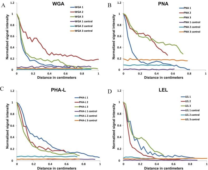 https://cdn.ncbi.nlm.nih.gov/pmc/blobs/ebd9/6271788/2d6d4a095bc0/molecules-19-09876-g004.jpg
