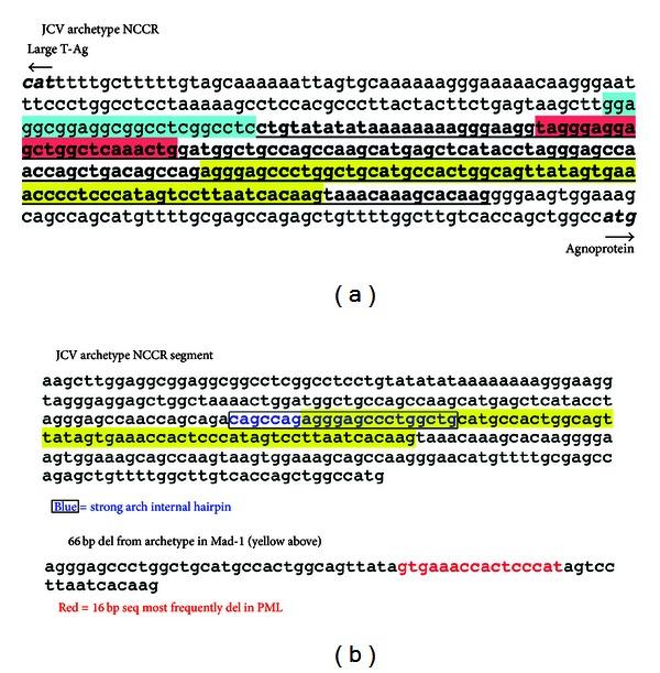 https://cdn.ncbi.nlm.nih.gov/pmc/blobs/ebda/3649189/cfc037af2844/CDI2013-197807.001.jpg