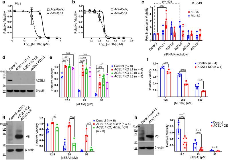 https://cdn.ncbi.nlm.nih.gov/pmc/blobs/ebda/8046803/bccd802afe5e/41467_2021_22471_Fig5_HTML.jpg