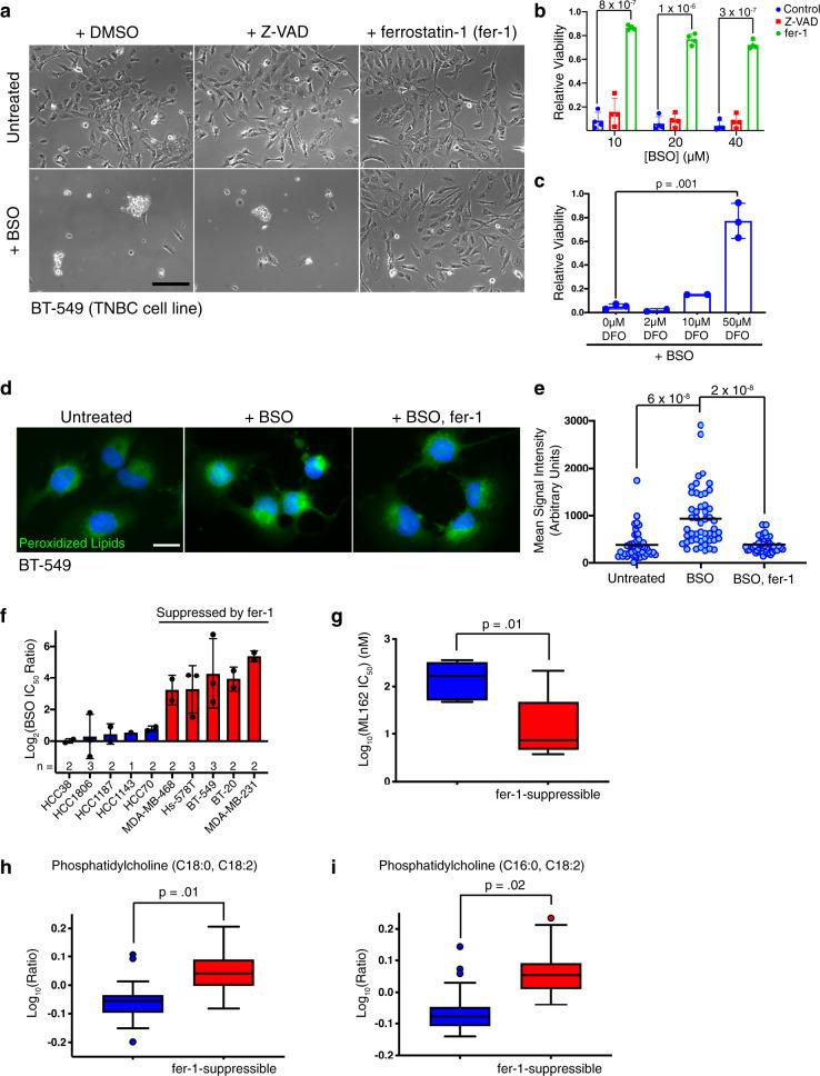 https://cdn.ncbi.nlm.nih.gov/pmc/blobs/ebda/8046803/e579c9475b2f/41467_2021_22471_Fig1_HTML.jpg