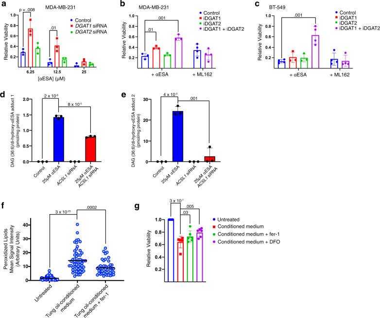 https://cdn.ncbi.nlm.nih.gov/pmc/blobs/ebda/8046803/f274a181cf86/41467_2021_22471_Fig8_HTML.jpg