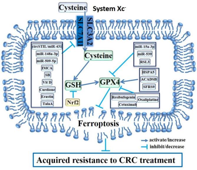 https://cdn.ncbi.nlm.nih.gov/pmc/blobs/ebdc/11846473/c2ec5dd2f512/12935_2025_3641_Fig2_HTML.jpg