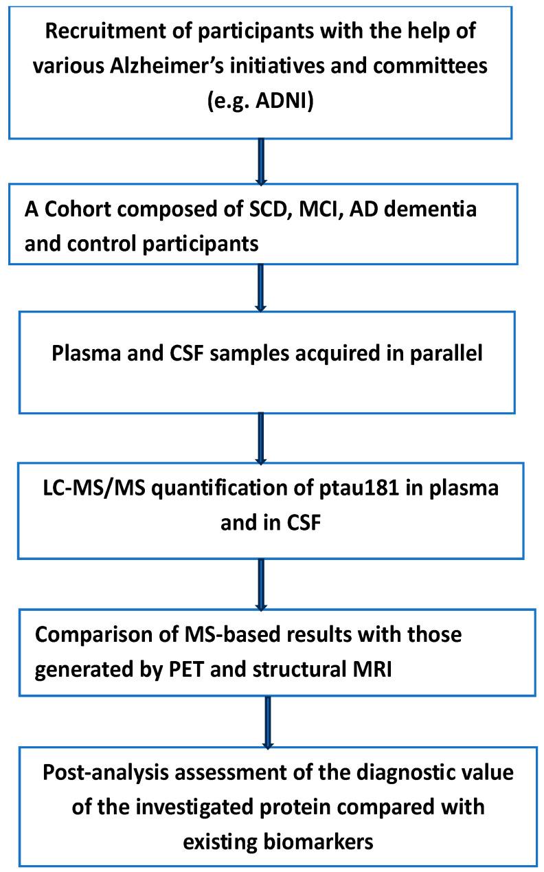 https://cdn.ncbi.nlm.nih.gov/pmc/blobs/ebdc/12196459/5bdf53f984ea/neurosci-06-00050-g003.jpg